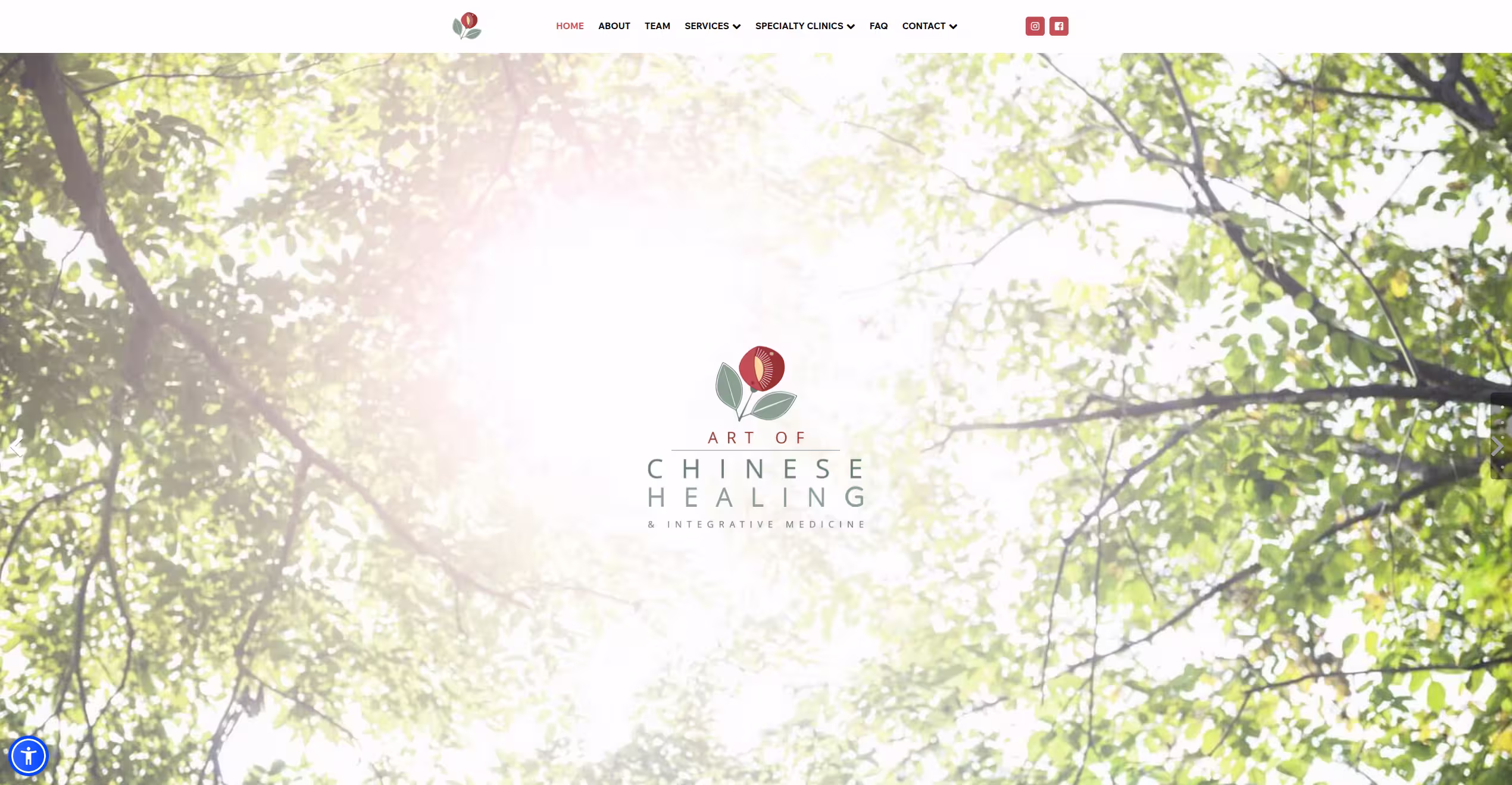 Art of Chinese Healing